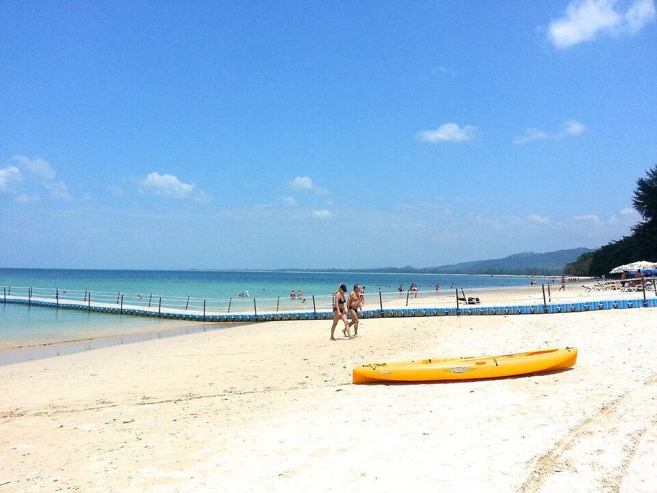 Caring for Khao Manee: Tips for a Happy, Healthy Lifestyle