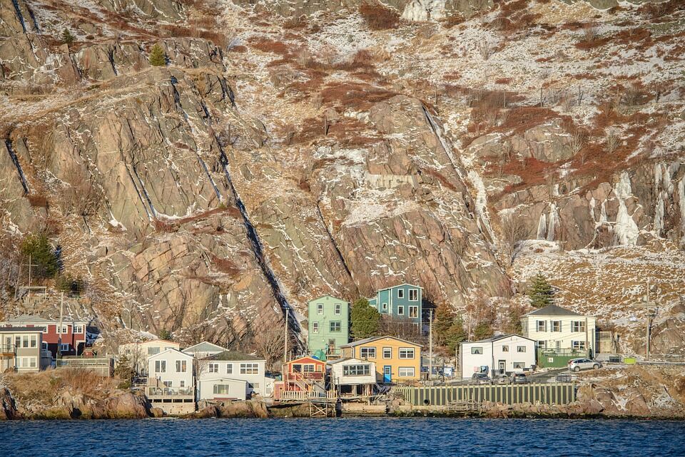 Newfoundland Care 101: Tips for a Happy, Healthy Companion